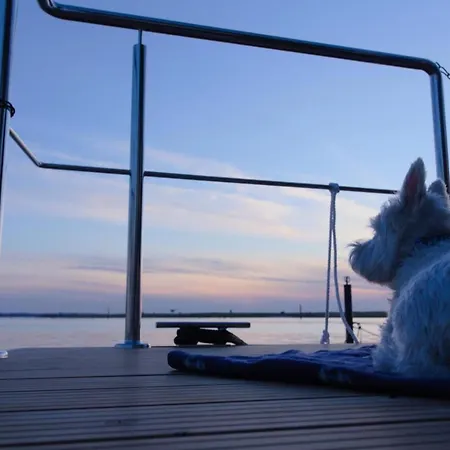 Hausboot Fjord Aquila Mit Dachterrasse In * Wendtorf