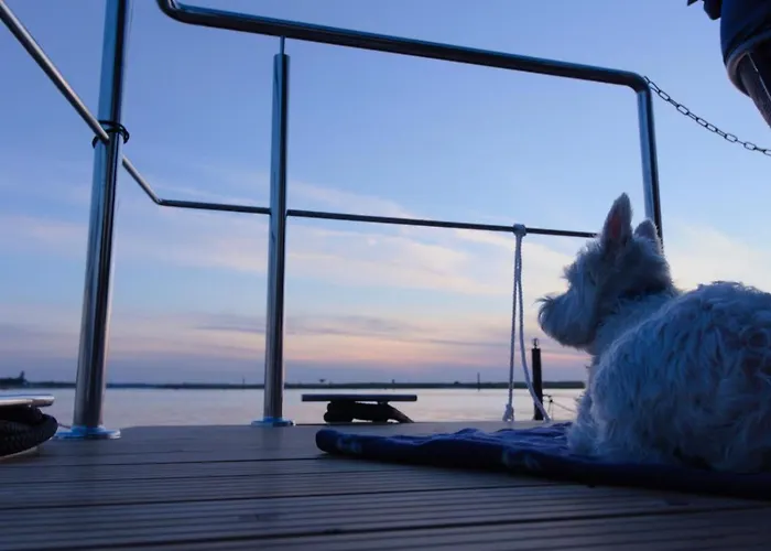 Hausboot Fjord Aquila Mit Dachterrasse In * Wendtorf